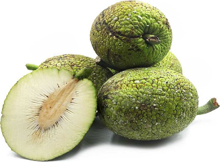 breadfruit image