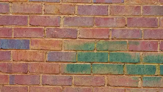 baked-bricks image