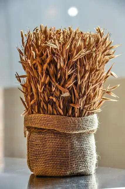 barley-bread image