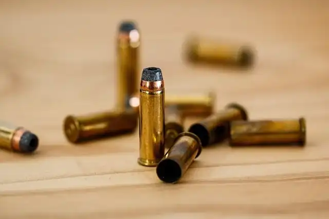 bullet image