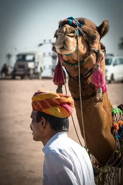 camel-driver image