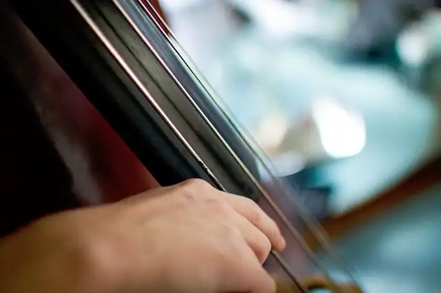 cello image
