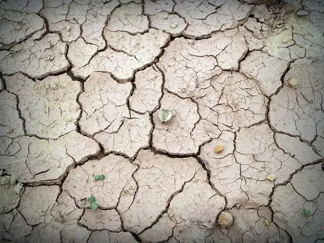 dryness image