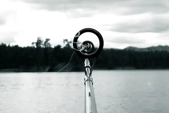 fishing-pole image
