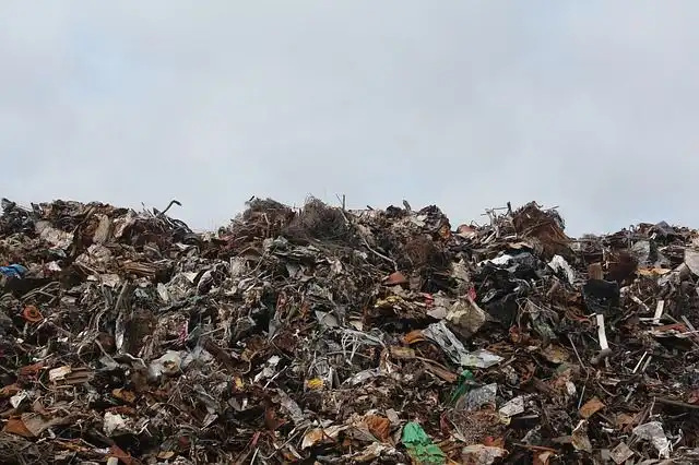 garbage-dump image