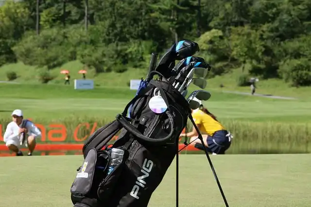golf-bag image