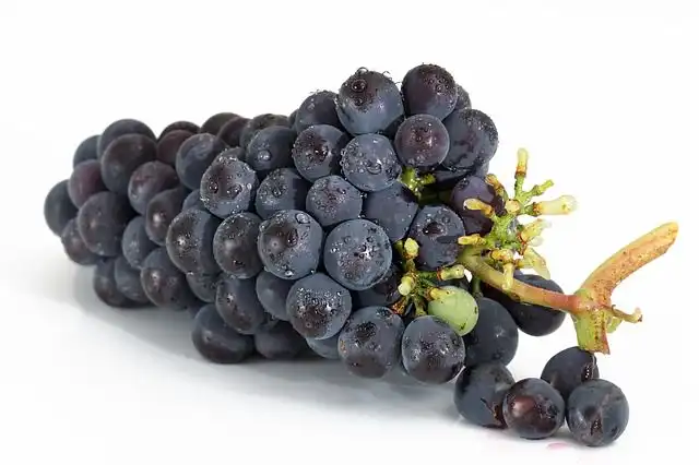 grape-juice image