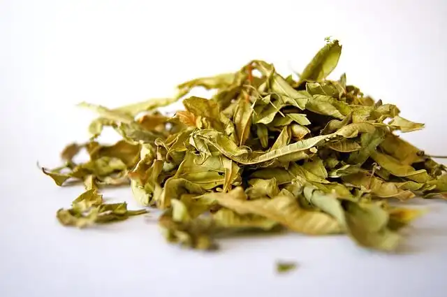 herbs image