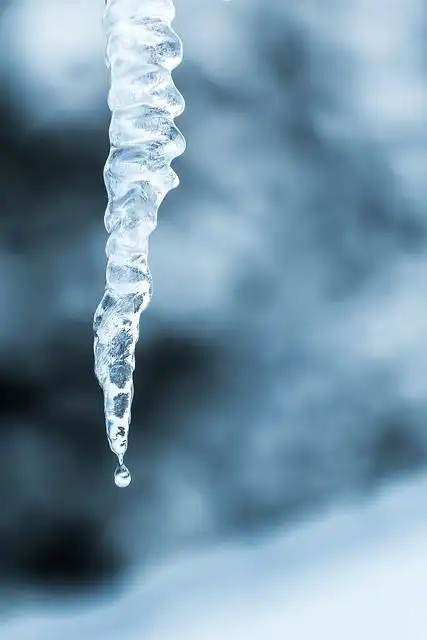 ice image