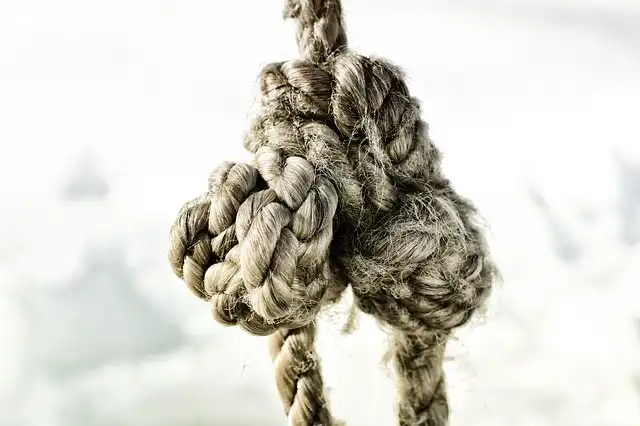 knot image