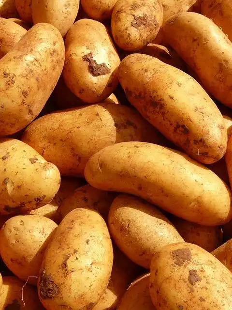 potato image