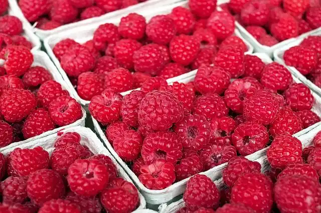 summer-fruits image